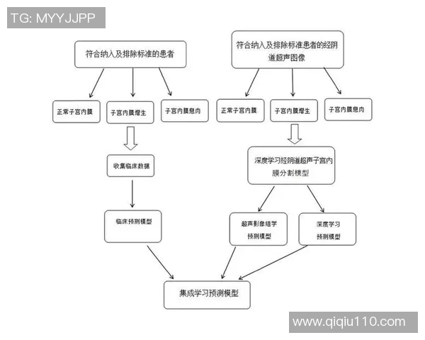 重庆街舞队力量表现的数据分析与深度探讨